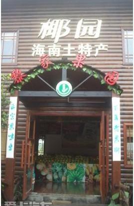 东风,日产,九龙