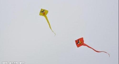 MINI,东南