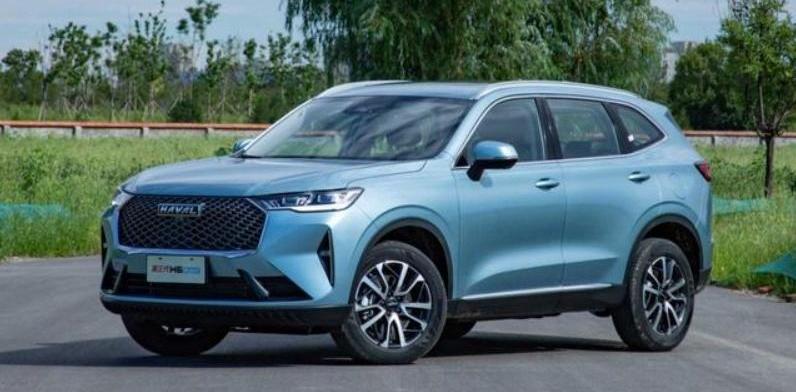 哈弗,哈弗H6,比亚迪,哈弗H6 DHT-PHEV,远程
