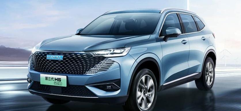 哈弗,哈弗H6,比亚迪,哈弗H6 DHT-PHEV,远程