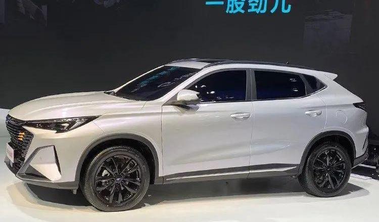 鲸