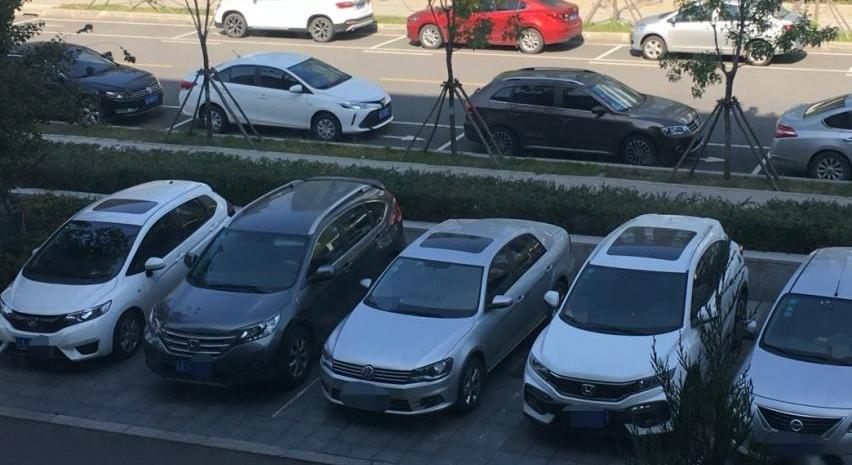长安,逸动,宝马,哈弗,哈弗H6