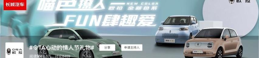 欧拉,理念,欧拉黑猫,昂扬,长城