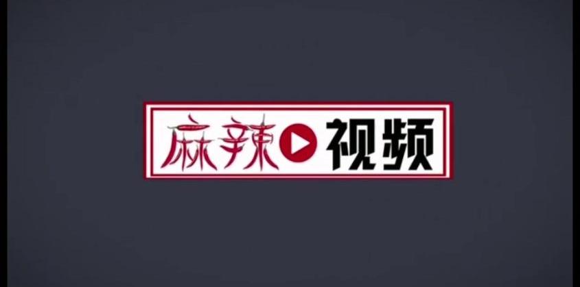 大众,福特,途睿欧,东南,金杯