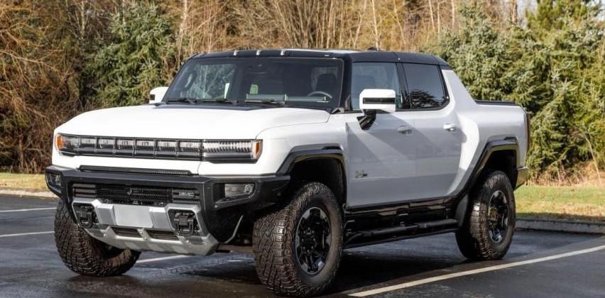 GMC,比亚迪,福特,福特F-150,特斯拉