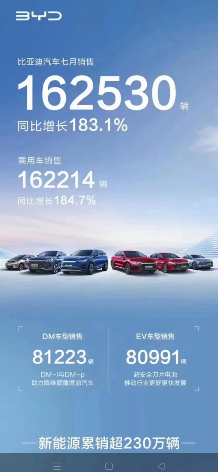 比亚迪,汉,海豚,元PLUS