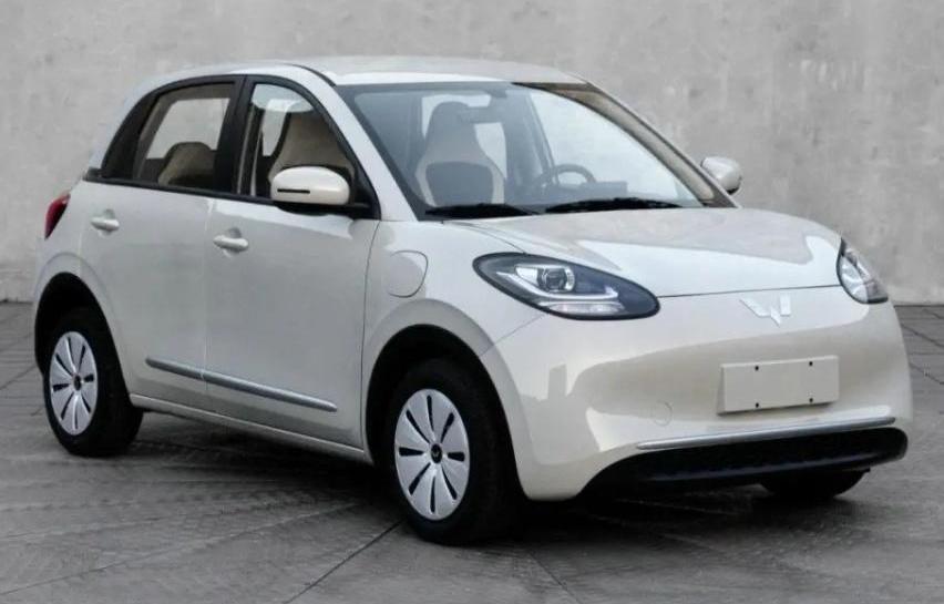 MINI,五菱缤果,海豚