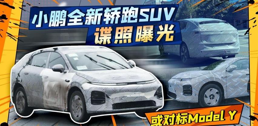 小鹏,Model Y,特斯拉,小鹏G9,理想L6