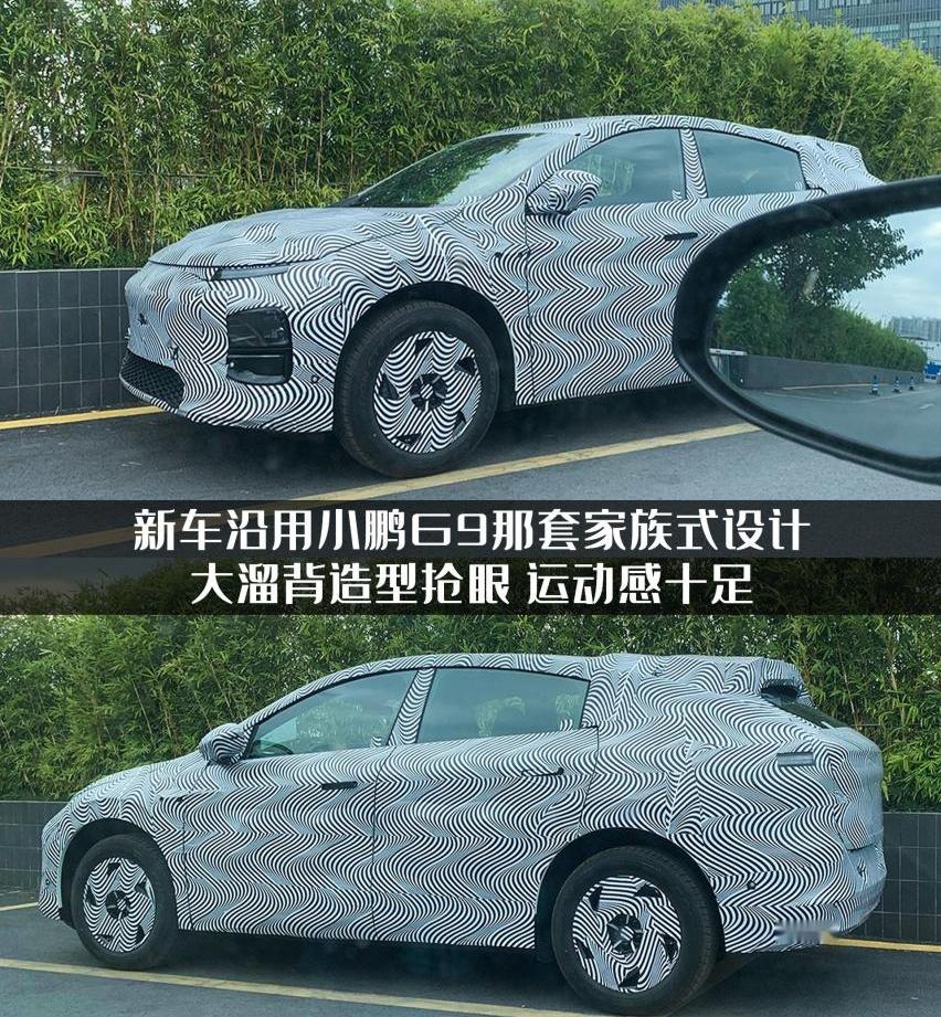 小鹏,Model Y,特斯拉,小鹏G9,理想L6