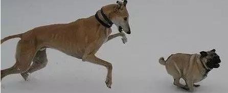 北京
