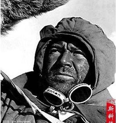 标致,东风,世纪,汉