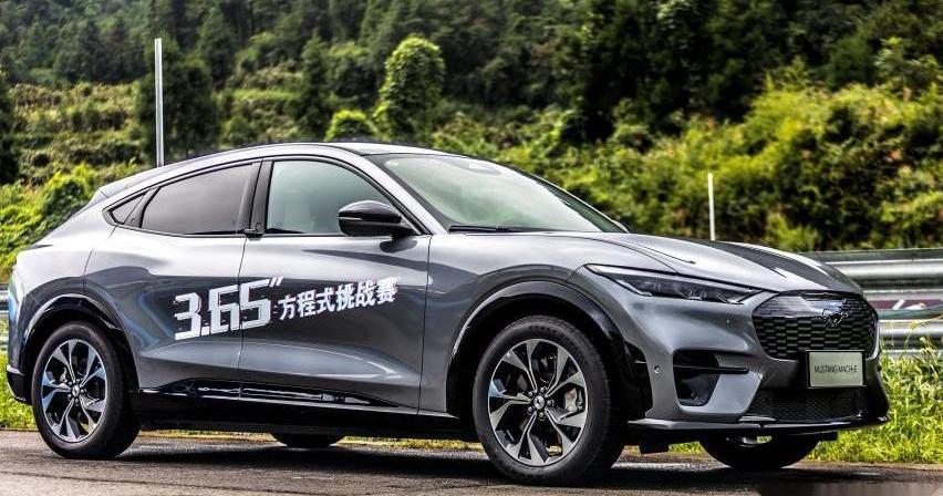福特,福特电马,Model Y,特斯拉