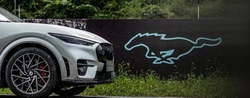 福特,福特电马,特斯拉,Mustang,Model Y