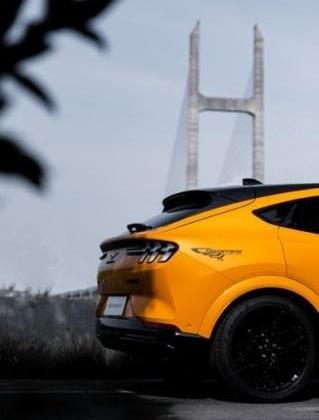 福特,福特电马,Mustang,理念,型格