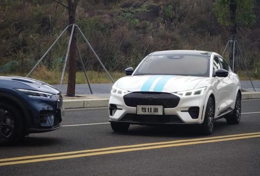 极氪,特斯拉,福特,Model Y,福特电马