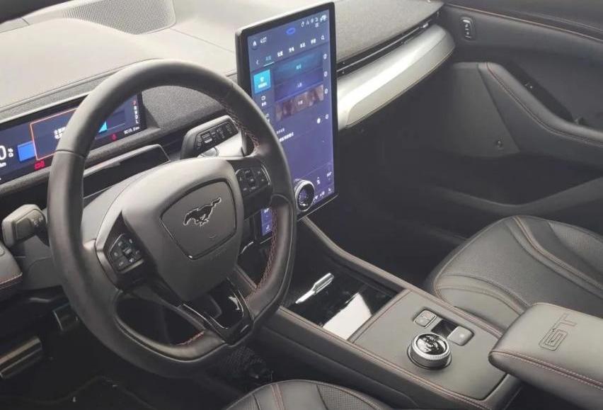 极氪,特斯拉,福特,Model Y,福特电马