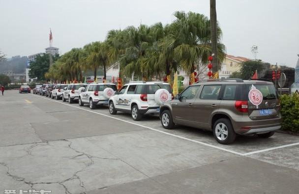斯柯达,DS,大众,东南,汉