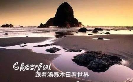 本田,奔腾,东南