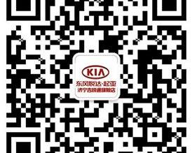 福瑞迪,起亚,东风,理念,现代