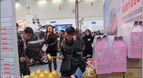 广汽传祺,凯马汽车