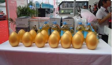 广汽传祺,凯马汽车