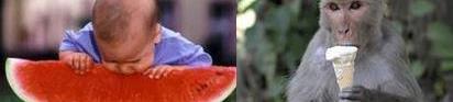 全顺,福特,新世代全顺