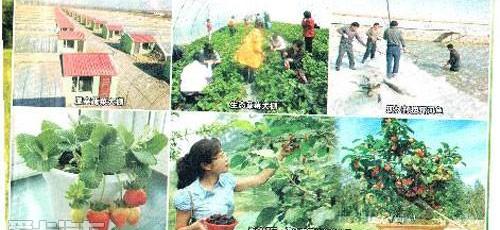 全顺,江铃,福特