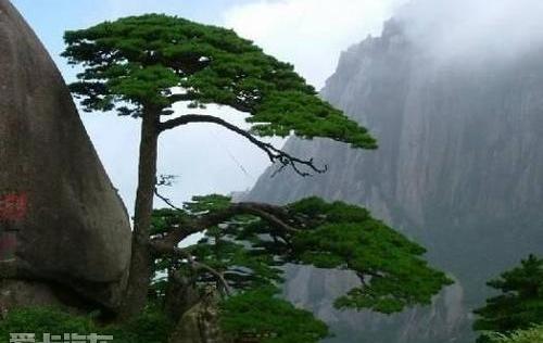 全顺,江铃,福特,777,奥迪