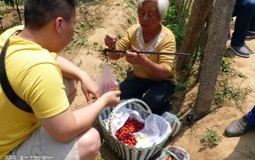 江铃,驭胜,全顺,福特,五十铃
