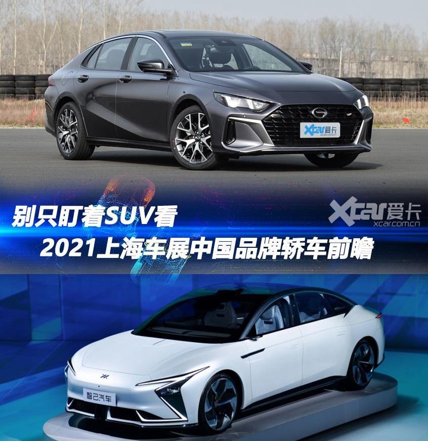 极氪,影豹,广汽传祺,东风风神,奕炫MAX