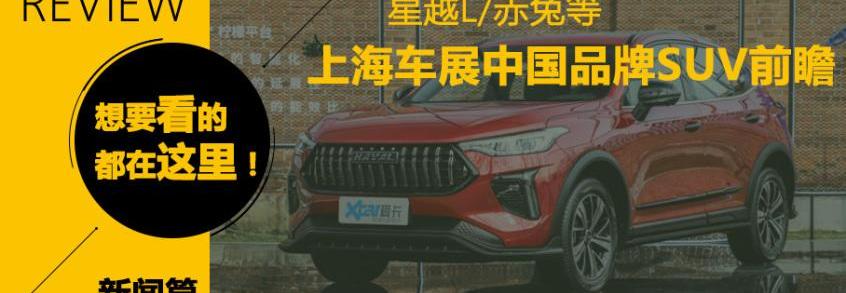 极氪,影豹,广汽传祺,东风风神,奕炫MAX