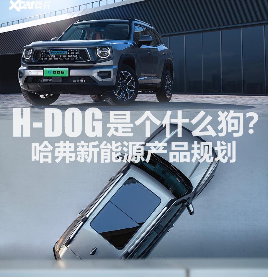 哈弗