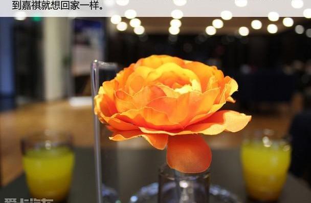 理念,广汽传祺,标致,长安,丰田