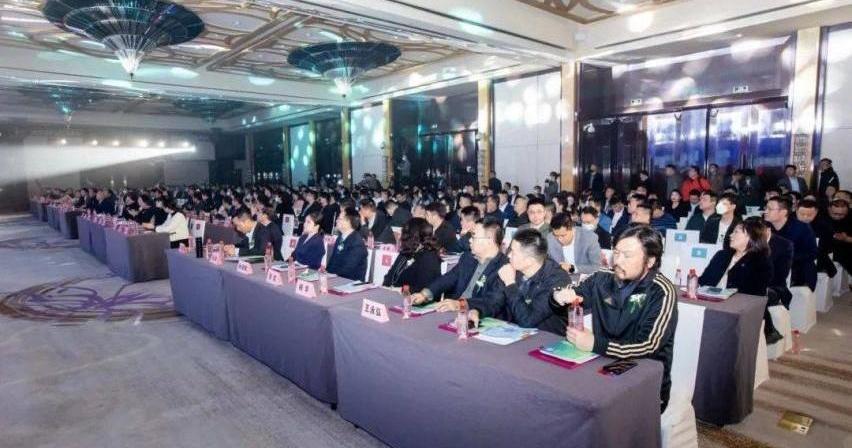 东风,奔腾,名爵,奇瑞,奥迪