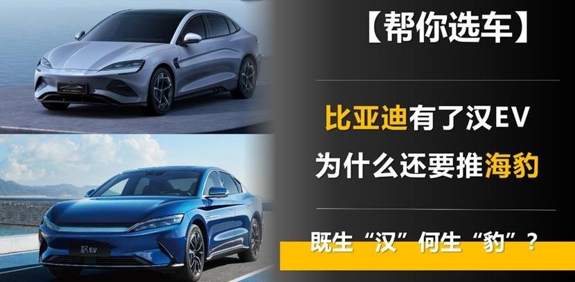 海豹,汉,比亚迪,保时捷,捷豹