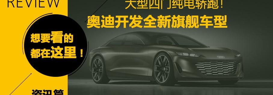 雷克萨斯,奥迪,炮,FF 91,高合HiPhi