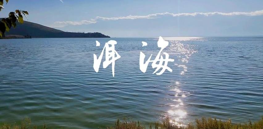 大众,一汽,迈腾,探岳,高尔夫