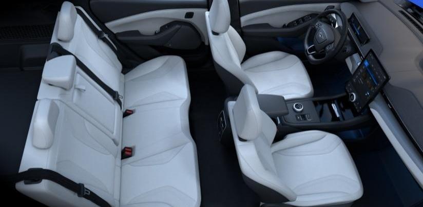 Mustang,福特,特斯拉,Model Y,长安