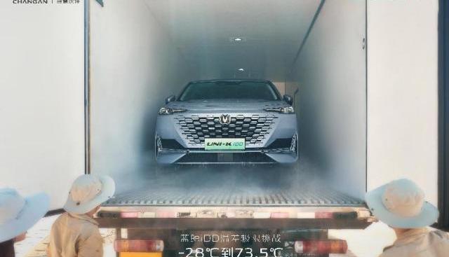 鲸,长安,特斯拉,蔚来