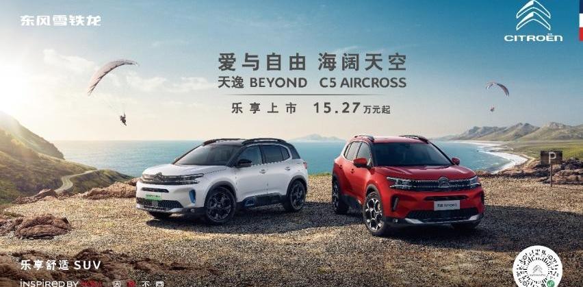 理念,发现,东风,汉,雪铁龙