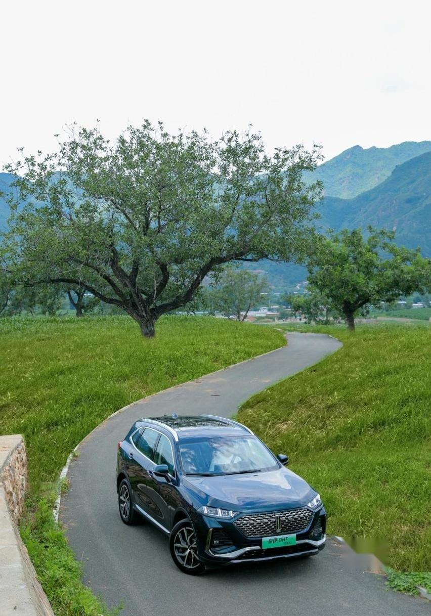 拿铁DHT-PHEV,拿铁DHT,魏牌,问界M5,本田