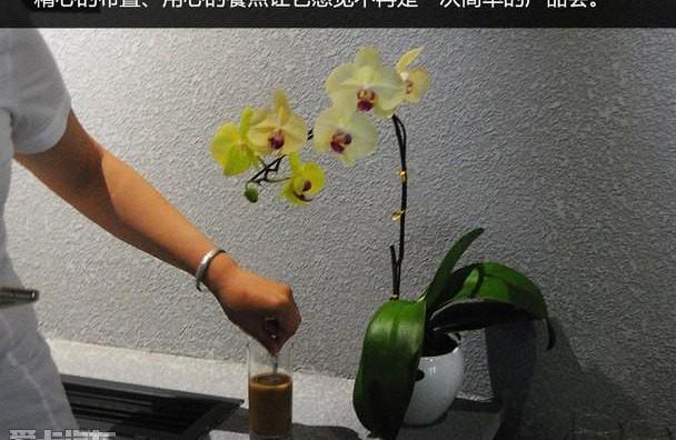 广汽传祺,传祺GA8