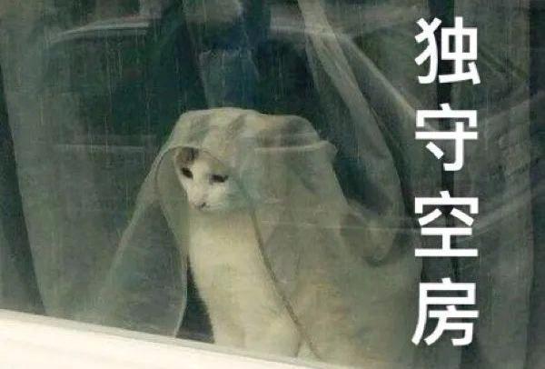 阿斯顿·马丁,揽胜,长城,路虎,传祺GA6