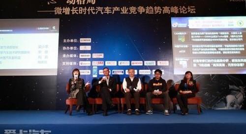 标致,东风,北京,祥龙,奥迪
