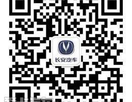 长安,悦翔,逸动,现代