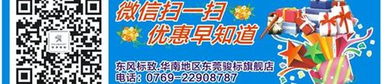 标致,长安,东风