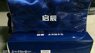 启辰,东风,日产
