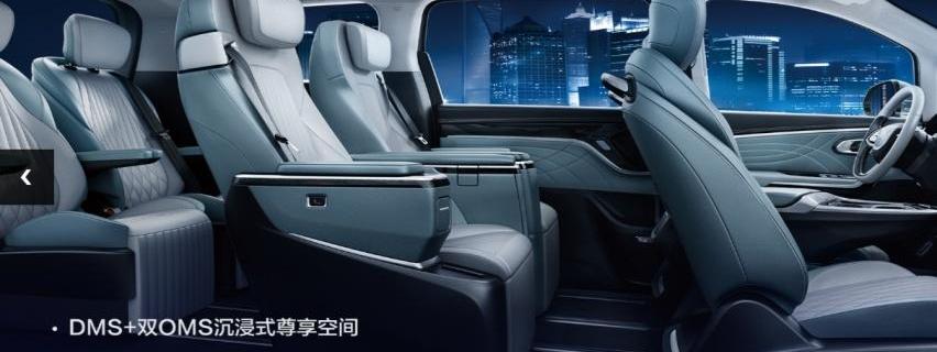 上汽大通MAXUS,大众,斑马,上汽大通MAXUS MIFA 9