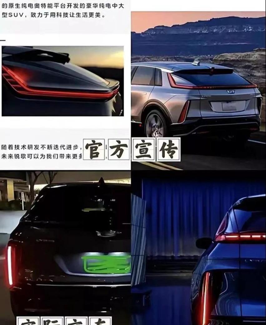 凯迪拉克,发现,骆驼