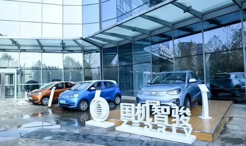 国机智骏,比亚迪,比亚迪D1,大众,理想汽车